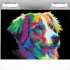 Labrador retriever 944